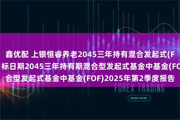 鑫优配 上银恒睿养老2045三年持有混合发起式(FOF): 上银恒睿养老目标日期2045三年持有期混合型发起式基金中基金(FOF)2025年第2季度报告