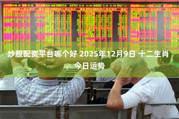 炒股配资平台哪个好 2025年12月9日 十二生肖 今日运势
