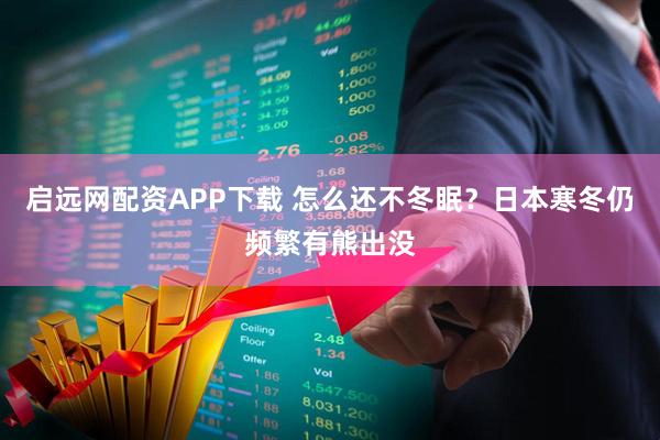 启远网配资APP下载 怎么还不冬眠？日本寒冬仍频繁有熊出没