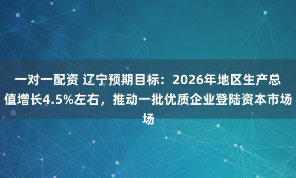 一对一配资 辽宁预期目标：2026年地区生产总值增长4.5%左右，推动一批优质企业登陆资本市场